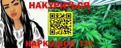 apvp Гусев