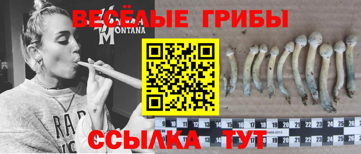 Новокузнецк  Галлюциногенные грибы мицелий  Галлюциногенные грибы Psilocybe  Вход с VPN 
